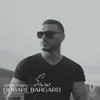 دوباره برگرد