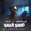 شب شد دلی