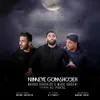 نیمه ی گمشده