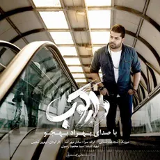 دارکوب