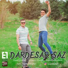 دردسر ساز