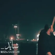 شاید