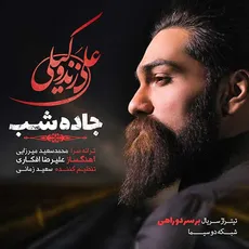 جاده شب