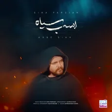 اسب سیاه