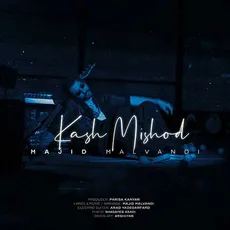 کاش میشد