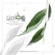 بید بی مجنون