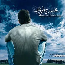 یه شاخه نیلوفر