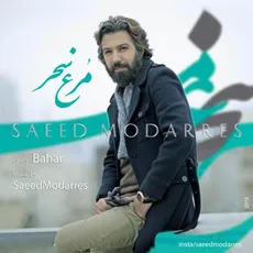 مرغ سحر