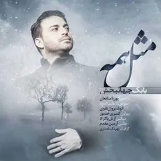  مثل همه