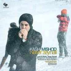 کاش میشد