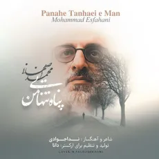 پناه تنهایی من شانه امن اشک من