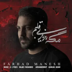 مگه ندیدی قلبم 